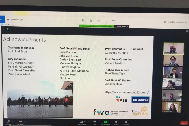 Gianmarco's online PhD Defence 2020